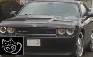 Challenger (shown here) and Charger Housecat models will hit showrooms next month. The cars will feature unique Housecat graphics (inset)