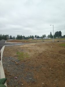 An unfinished roadway now occupies land where a dry levy was once located.