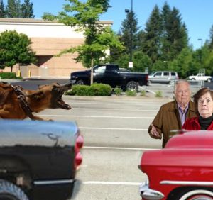 Marvin and Poughkeepsie Cable of Lake Umathurman encounter a cute puppy while visiting Walgreens