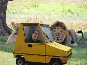 lioncar