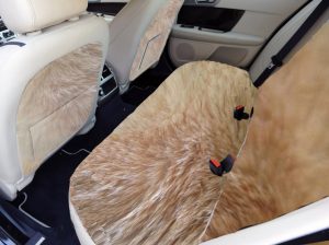 Synthetic cat fur upholstery in a 2017 Jaguar XF sedan