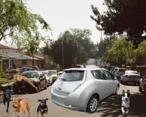 Frightened dogs run from a Nissan Leaf that has just turned onto a neighborhood street